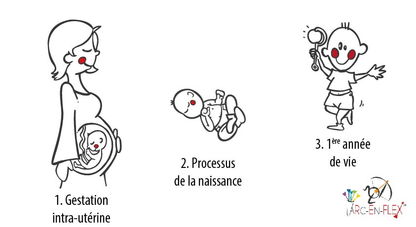 Réflexes Archaïques - Arc-En-Flex